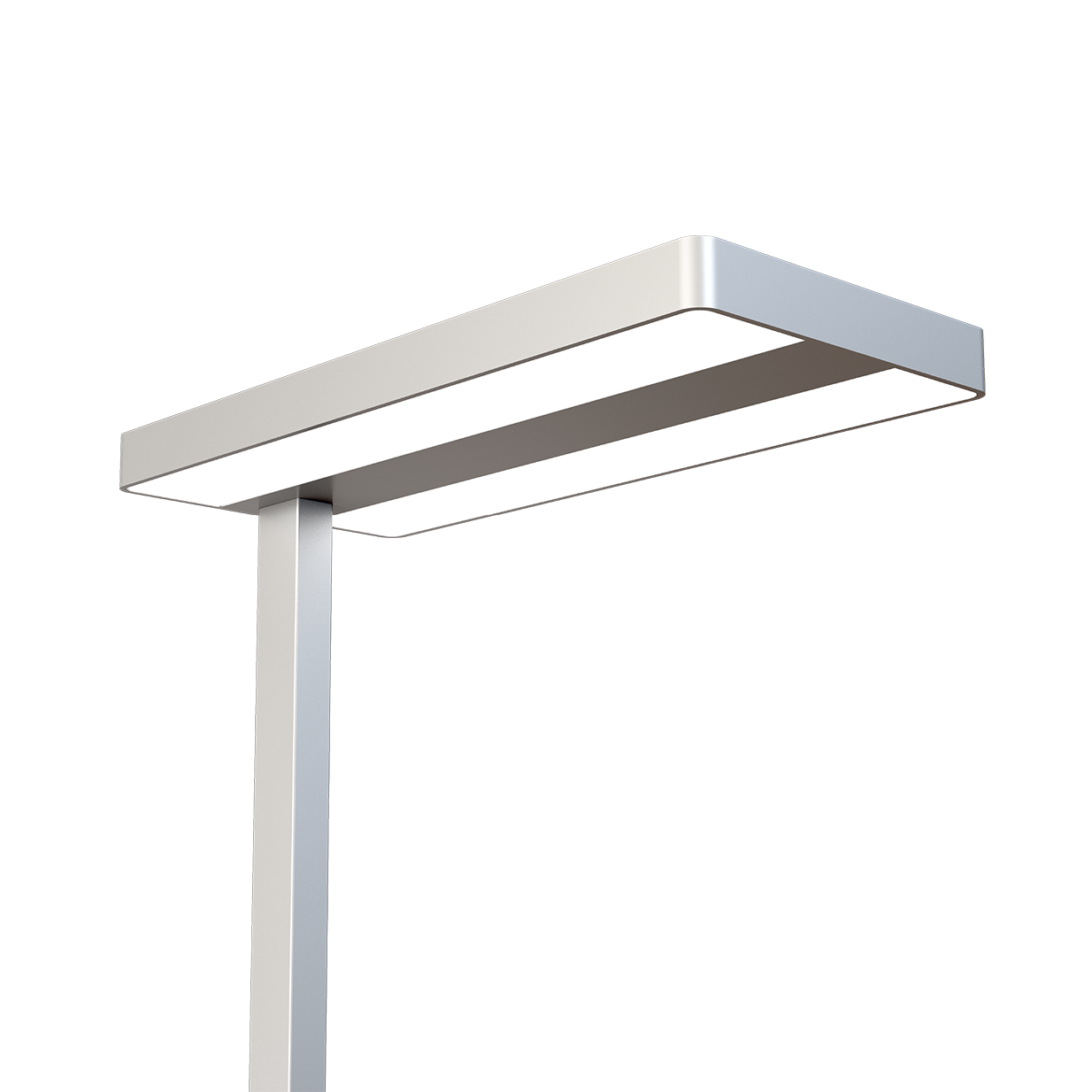IGNIS Ansicht 1